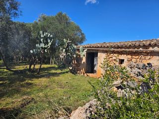 Finca rústica a Costitx
