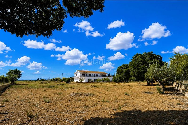 Foto cd6877d2-3ff3-458c-90fb-f80456281d08. Masia amb aparcament a Es Blanquer Inca
