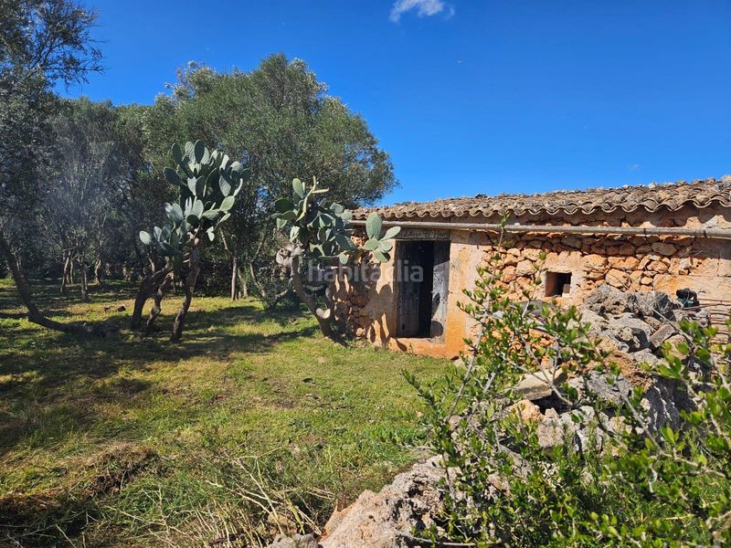 Foto c0ee67e8-f228-47ce-86ef-fbe87abe2feb. Masia a Costitx