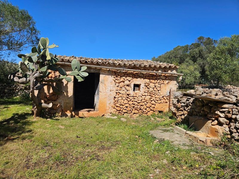 Foto e1f5c9ad-3c78-4794-a30c-3c420474ed34. Masia a Costitx