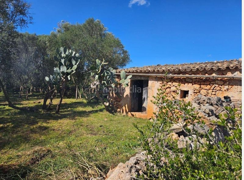 Foto 2f728f04-ca44-4b9b-b3b1-7f573778e474. Terreny residencial a Costitx