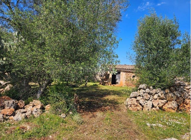 Foto 43e8a70d-aedd-4788-9bed-b6b7ab4b6e90. Terreny residencial a Costitx