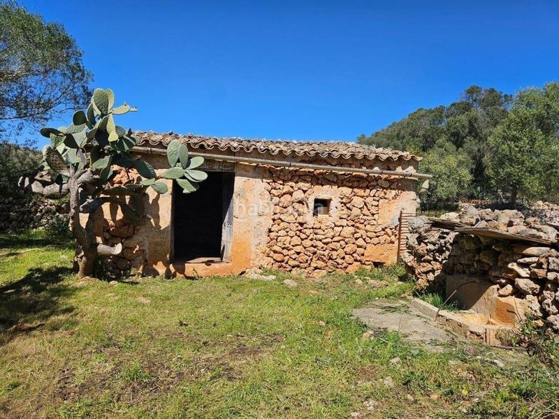 Foto e2908b33-a3b6-4f60-987c-2517d21ff451. Terreny residencial a Costitx