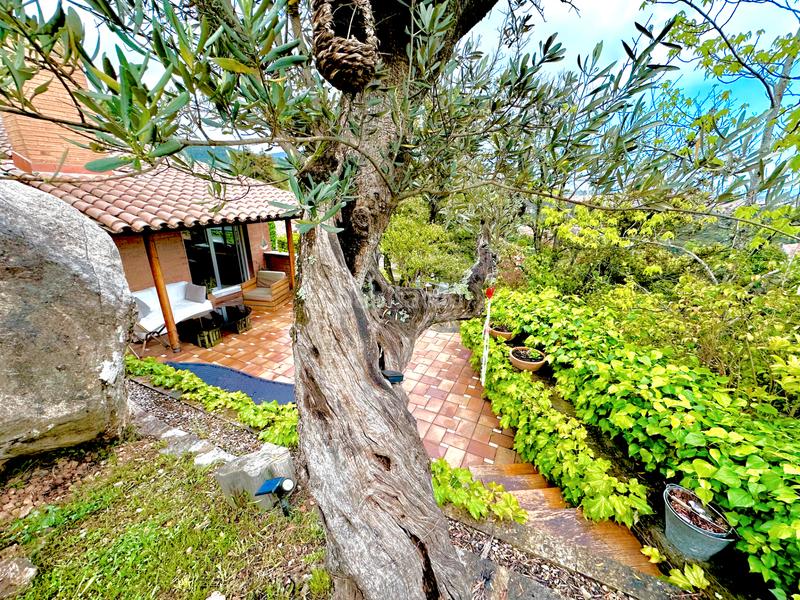 Foto 59392992-487b-4af4-ba1d-3814a0909856. Maison avec cheminée chauffage parking piscine dans Castellar del Vallès