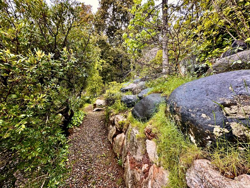 Foto 96d57473-3f9e-4504-bccb-38b7ca7993b9. Maison avec cheminée chauffage parking piscine dans Castellar del Vallès