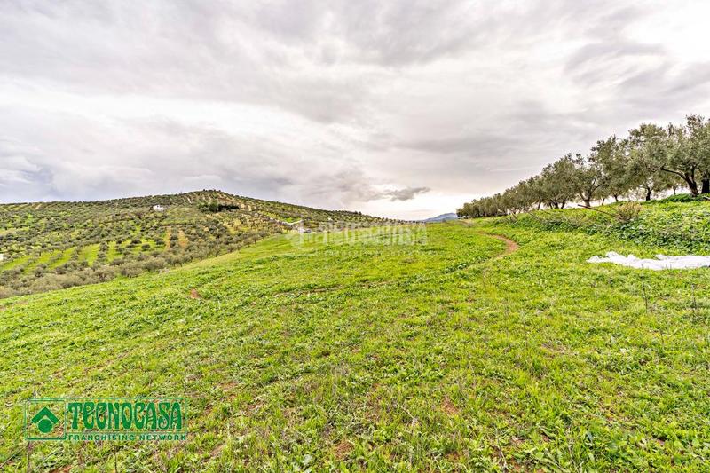 Foto 0c861c19-26f2-4dd2-83df-863d558cc257. Finca rústica a Alozaina