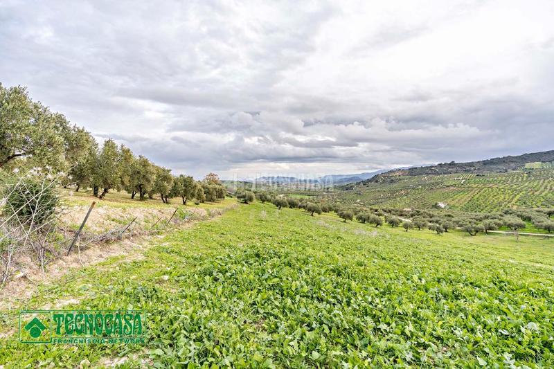 Foto 1cf1b6c4-535e-4a2a-909c-3476b7236c9a. Finca rústica a Alozaina