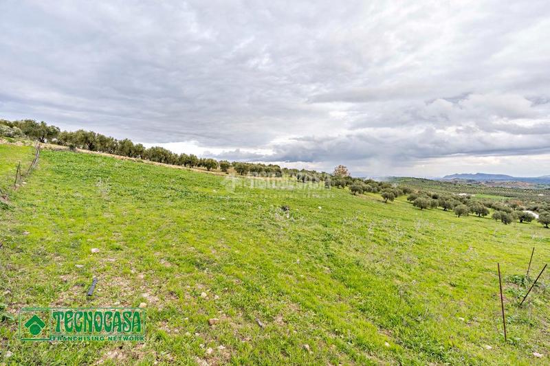 Foto 23b2f197-03a9-4701-bc3a-1f9375ffb7f1. Finca rústica a Alozaina