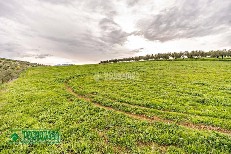 Foto 3dba9359-3813-40bb-8823-3e4f9c0d3643. Finca rústica a Alozaina