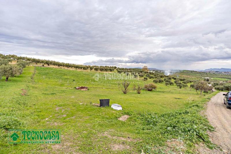 Foto 50e275d0-6216-4b76-b2bd-9b52d85882c6. Finca rústica a Alozaina
