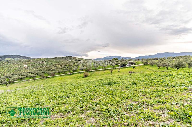 Foto 56b5a1a6-ef60-4b88-848c-364af410a87b. Finca rústica a Alozaina