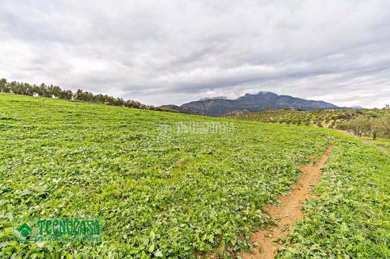 Foto 5fe9cbb4-65a8-49a7-ba4d-f689c121e97c. Finca rústica a Alozaina