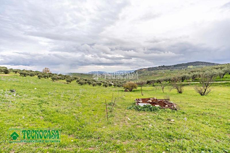 Foto 6b0bfa50-ad96-4527-99c7-8dc2db75650d. Finca rústica a Alozaina