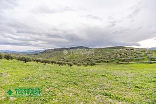 Finca rústica a Alozaina. Terrenos en venta en alozaina