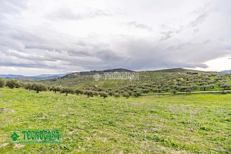 Foto 78ded199-bdd1-4c72-9456-dbbea4888836. Finca rústica a Alozaina