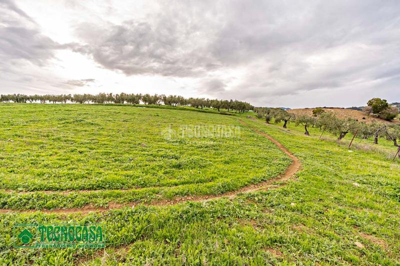 Foto 7a6644dc-701e-468b-8559-4fc474709240. Finca rústica a Alozaina