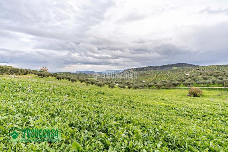 Foto b599555c-d9a7-4f63-ace9-00d44c5f87b4. Finca rústica a Alozaina