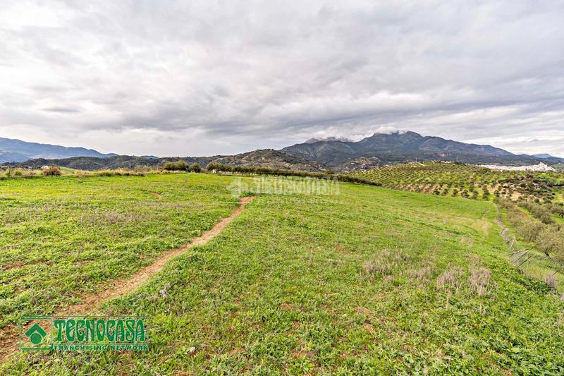 Foto c38bdcab-b8c5-4ef5-a250-6a3af6aabd80. Finca rústica a Alozaina