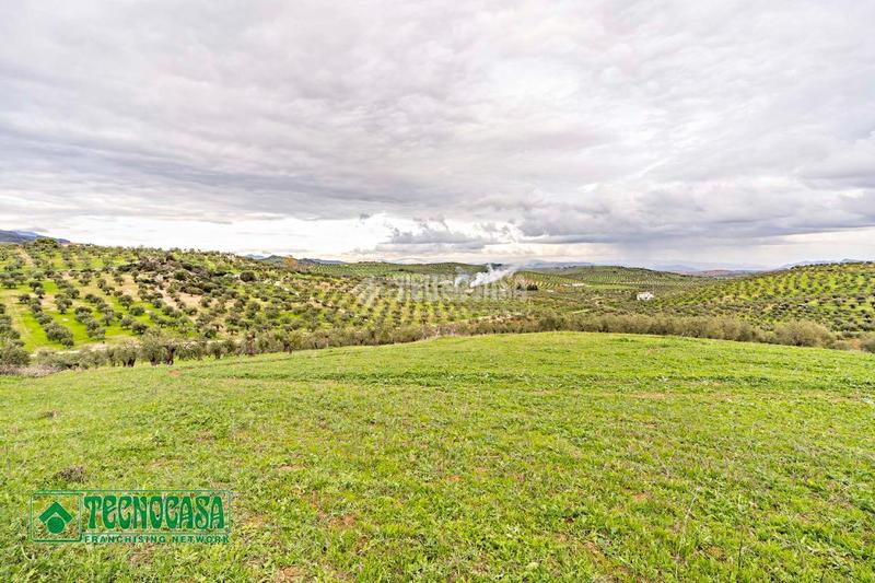 Foto cb7dd2fd-0543-448b-9cdc-7574f474db6d. Finca rústica a Alozaina