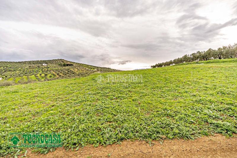 Foto d1394340-c41d-48bd-b780-5b514c0c757a. Finca rústica a Alozaina