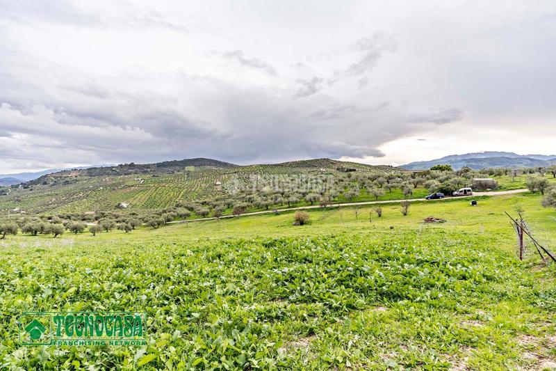 Foto d97b7ebe-c141-4fda-8476-2a9142073133. Finca rústica a Alozaina