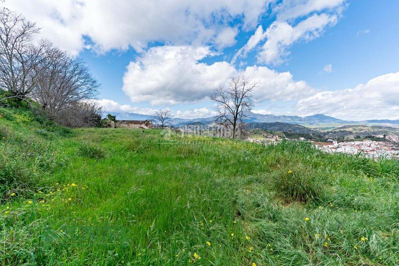 Foto 84f05b6c-7257-46a7-ab61-993aec8cb358. Terreny residencial a Coín