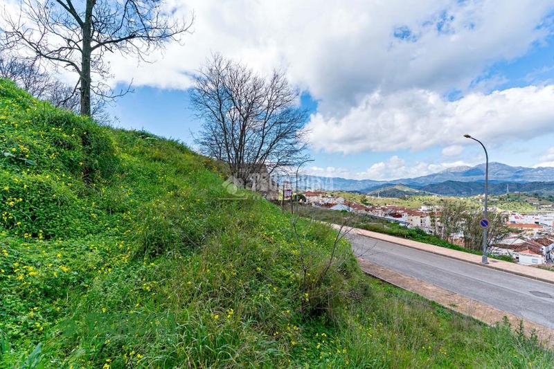 Foto a1ce4555-3b48-4e82-8233-4f782a7029b4. Terreny residencial a Coín