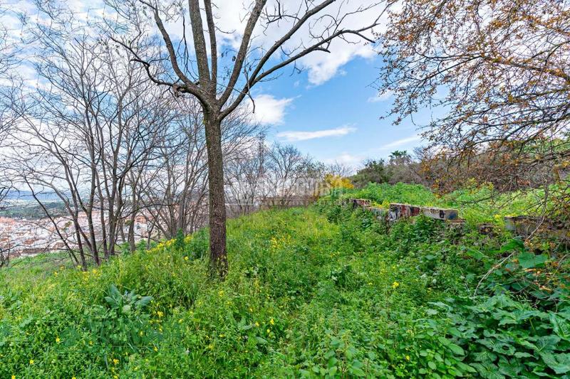 Foto e1a233a2-ce71-4c4e-b448-b7c586b2ef2b. Terreny residencial a Coín