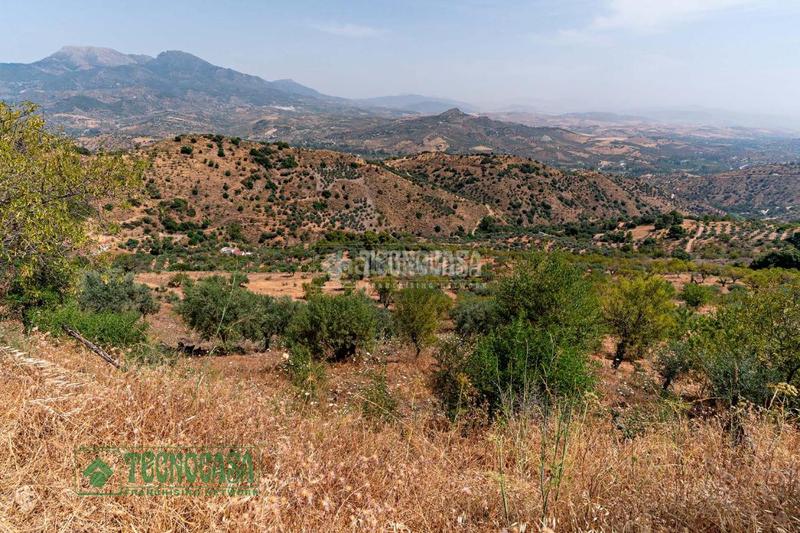 Foto 19aa09b1-5500-4b12-86d3-51f71a88b03c. Finca rústica terrenos en venta en Guaro