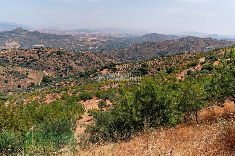 Foto 1be70caf-99e4-49b0-9b50-0a57a780a88a. Finca rústica terrenos en venta en Guaro