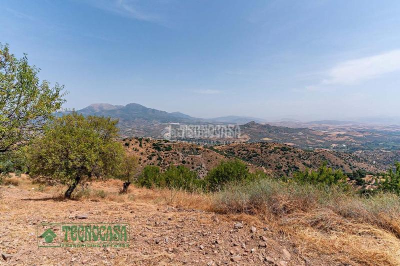 Foto 281f3b96-8bf7-417a-9047-ca5b42abb7c9. Finca rústica terrenos en venta en Guaro