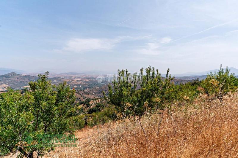 Foto 3b284d52-58d4-4341-8610-fe3973b87900. Finca rústica terrenos en venta en Guaro
