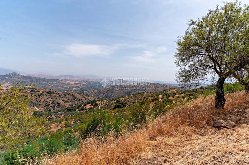 Foto 5ee0c4cd-ee61-4d59-8394-c62786feadff. Finca rústica terrenos en venta en Guaro