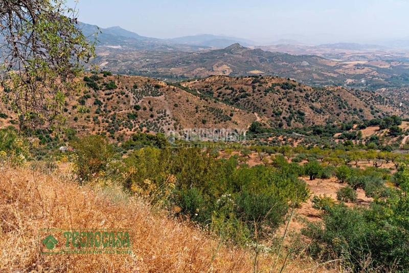 Foto 8d9592db-7d66-4fbb-8963-63a958e73ae0. Finca rústica terrenos en venta en Guaro