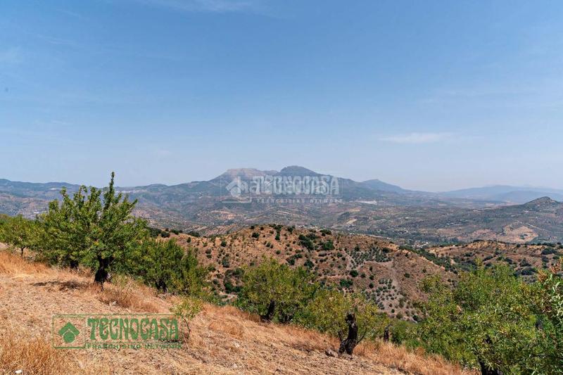 Foto b01c5d22-f34c-4ba7-a771-4ab6246f874a. Finca rústica terrenos en venta en Guaro
