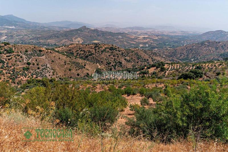Foto cb8af432-a203-47db-8eaf-c2966b196e38. Finca rústica terrenos en venta en Guaro