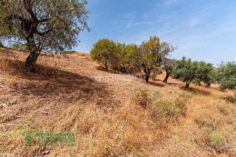 Foto d019aa5d-d668-4ef4-93e6-575ec9acce75. Finca rústica terrenos en venta en Guaro