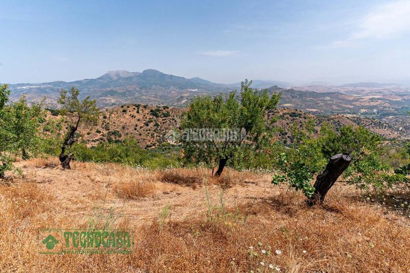 Foto e89bde01-6bf2-4e36-abd4-8d3b065e65c7. Finca rústica terrenos en venta en Guaro