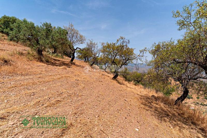 Foto f6cb0b59-f8fb-4208-90cf-fc31271523b9. Finca rústica terrenos en venta en Guaro
