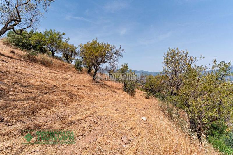 Foto fcead99f-1570-42e9-9e2d-8e1992ae33cc. Finca rústica terrenos en venta en Guaro
