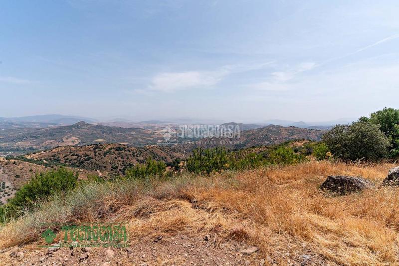 Foto fda58f91-1d80-4e42-860c-7e72429fd616. Finca rústica terrenos en venta en Guaro