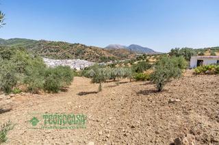 Finca rústica a Tolox. Terrenos en venta en tolox