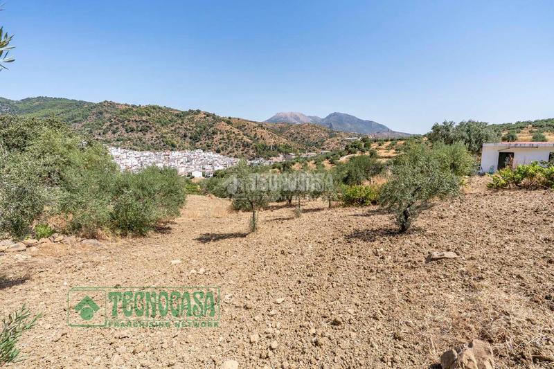 Foto 33eb8c0c-69ff-462e-8dcb-00de8e08d8ee. Finca rústica a Tolox