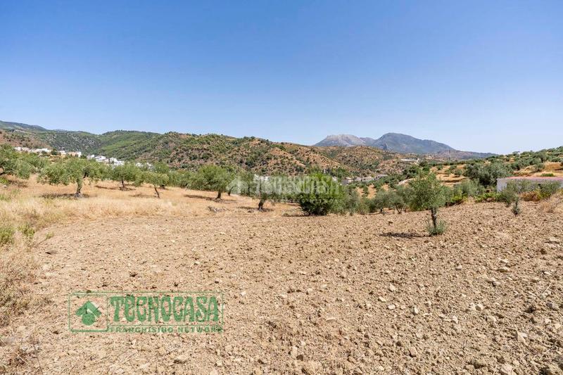 Foto 5970b746-2a20-4b35-8b97-a82ecd724eca. Finca rústica a Tolox