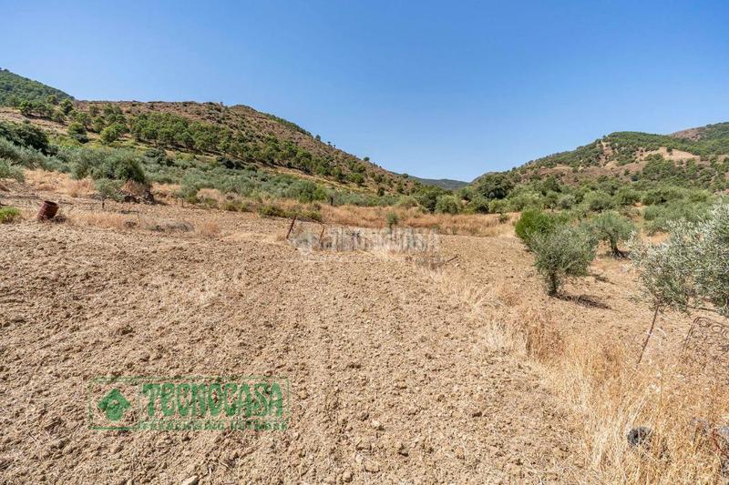 Foto 75663511-4e4b-49c2-a7bd-a1055962fc23. Finca rústica a Tolox