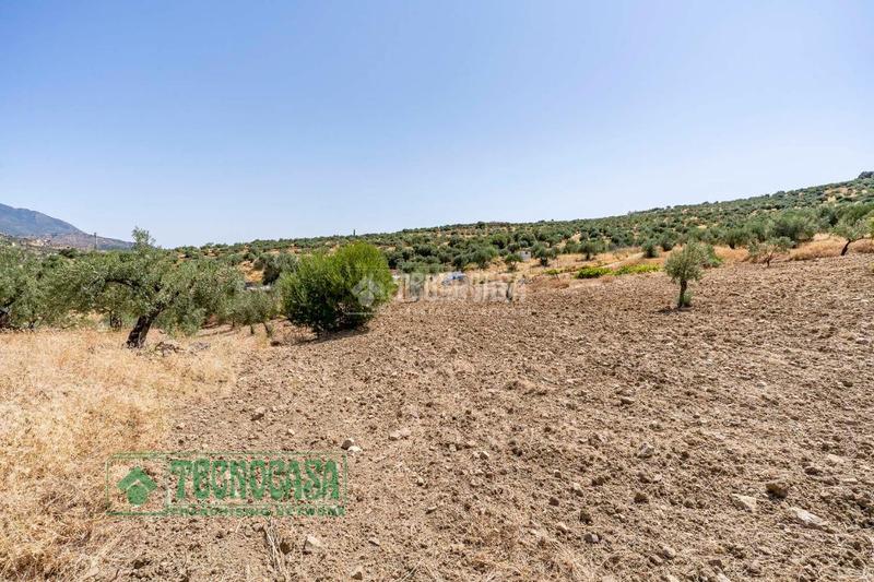 Foto 7c7c4dd6-d6f7-4d61-a3f3-b86fd0e0bdcd. Finca rústica a Tolox