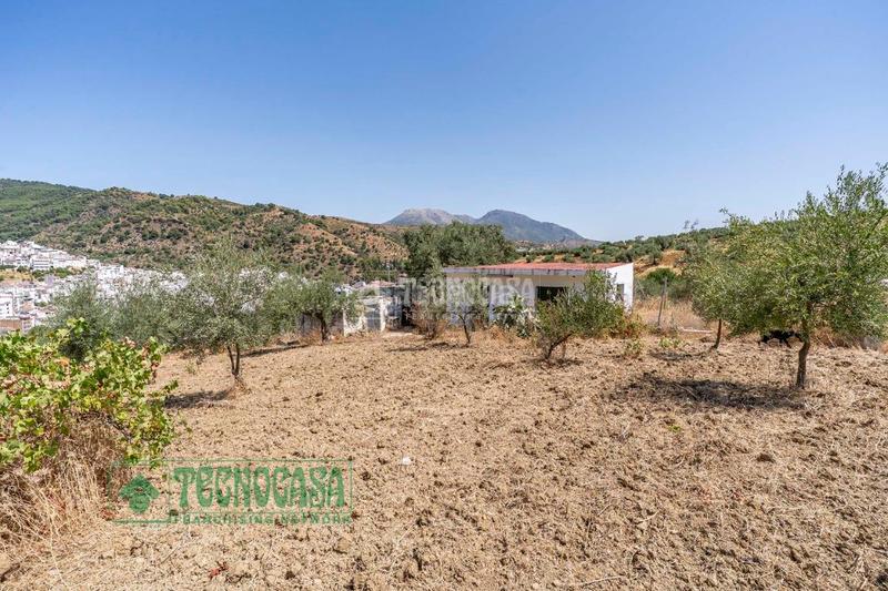 Foto 89b3e712-cf85-4ad4-ac30-561aa5d8d44d. Finca rústica a Tolox