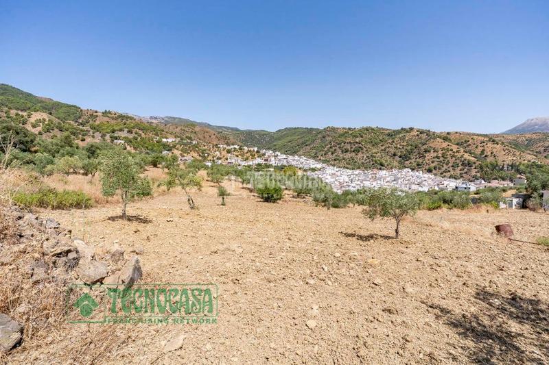 Foto a2633cc3-bd6a-43f6-8922-b49c443acba4. Finca rústica a Tolox