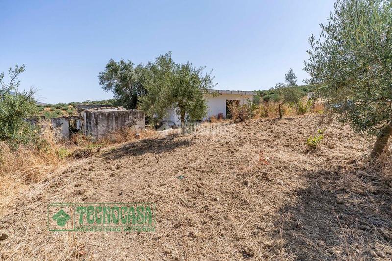 Foto c187018d-48ee-45b5-9f5d-1fb034f67aa2. Finca rústica a Tolox