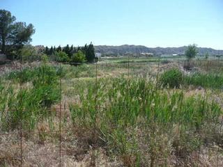 Residential Plot  Calle mediodia